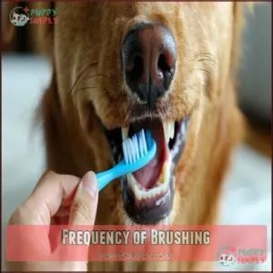 Frequency of Brushing