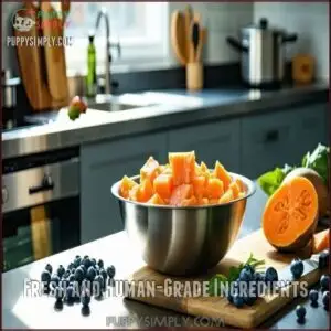 Fresh and Human-Grade Ingredients