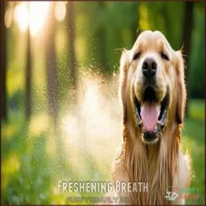 Freshening Breath