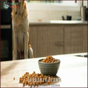 Garbanzo Beans