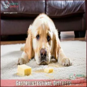 Gastrointestinal Distress