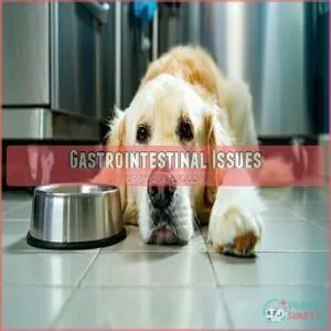 Gastrointestinal Issues