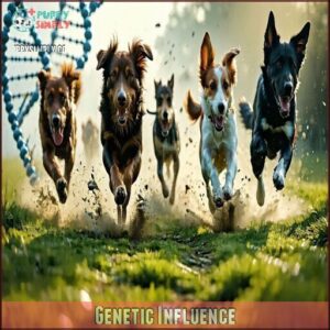 Genetic Influence
