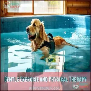 Gentle Exercise and Physical Therapy