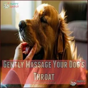 Gently Massage Your Dog’s Throat