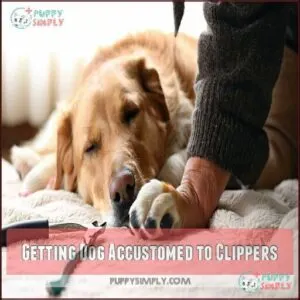 Getting Dog Accustomed to Clippers