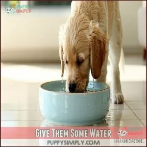 Give Them Some Water