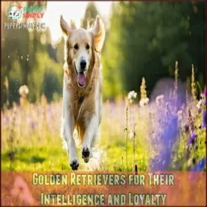 Golden Retrievers for Their Intelligence and Loyalty