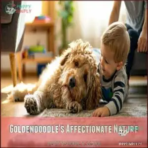 Goldendoodle