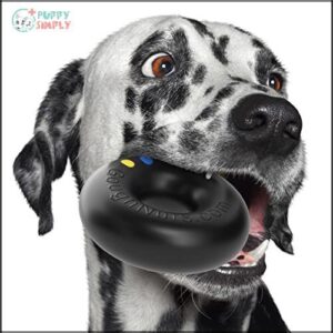 Goughnuts — Dog Toys for