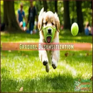 Gradual Desensitization