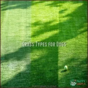 Grass Types for Dogs