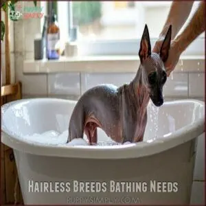 Hairless Breeds Bathing Needs