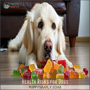 health risks for dogs