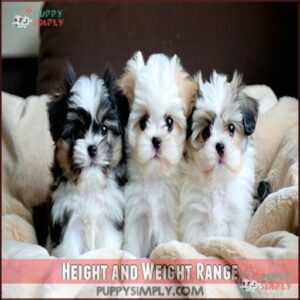 Height and Weight Range Height and Weight Range