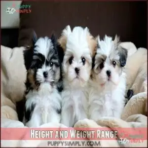 Height and Weight Range