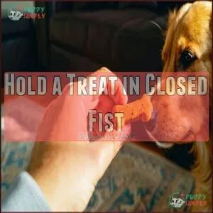 Hold a Treat in Closed Fist