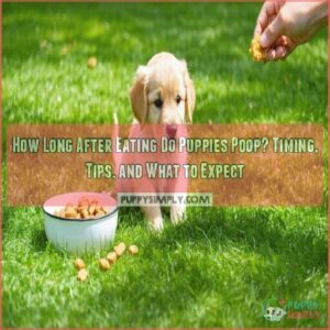 how long after eating do puppies poop how long after eating do puppies poop