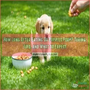 how long after eating do puppies poop