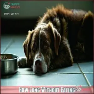 How Long Without Eating