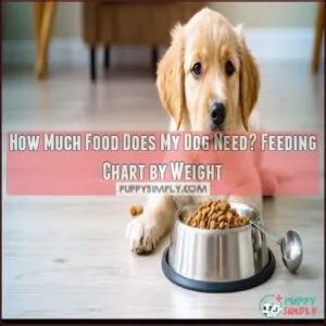 how much food does my dog need