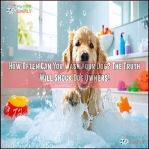 how often can you wash your dog