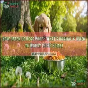 how often do dogs poop