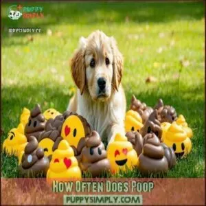 How Often Dogs Poop