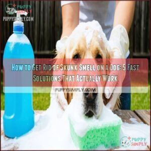 how to get rid of skunk smell on a dog