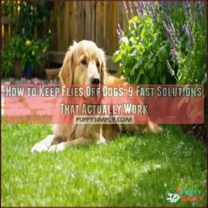 how to keep flies off dogs