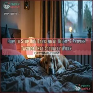 how to stop dog barking at night