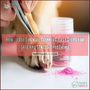 how to use dog nail clippers