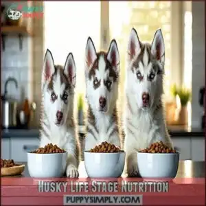 Husky Life Stage Nutrition