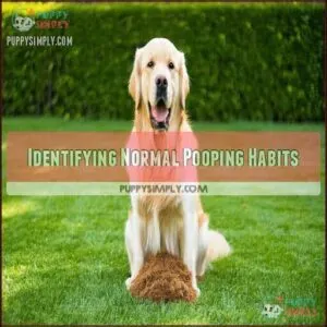 Identifying Normal Pooping Habits