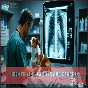 Identifying Tumors and Cancer