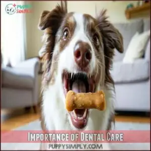 Importance of Dental Care