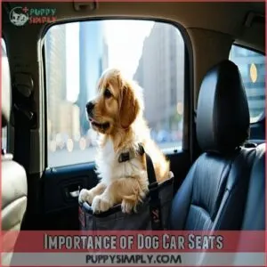 Importance of Dog Car Seats