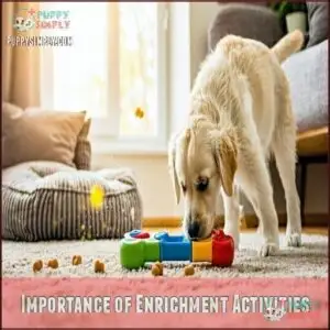 Importance of Enrichment Activities