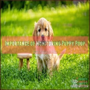 Importance of Monitoring Puppy Poop