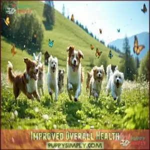 Improved Overall Health