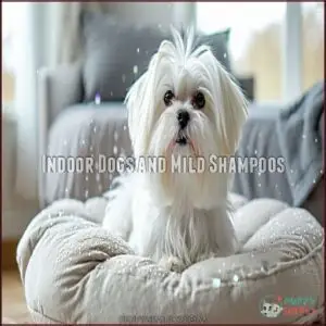 Indoor Dogs and Mild Shampoos