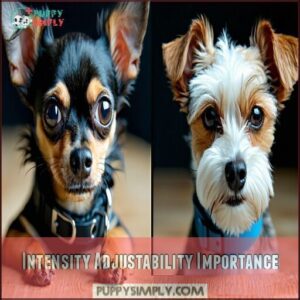 Intensity Adjustability Importance Intensity Adjustability Importance