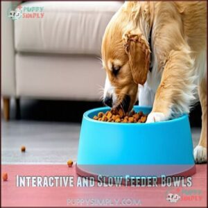 Interactive and Slow Feeder Bowls