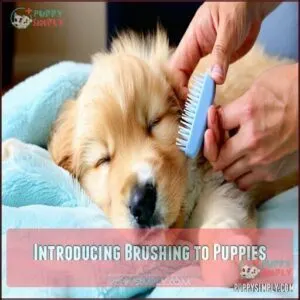 Introducing Brushing to Puppies