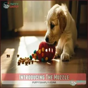 Introducing The Muzzle