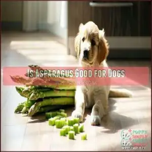 Is Asparagus Good for Dogs