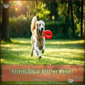 Keeping Dog at Healthy Weight