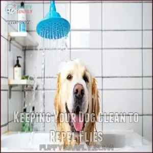 Keeping Your Dog Clean to Repel Flies