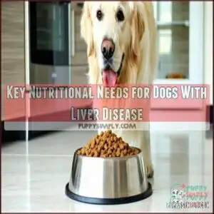 Key Nutritional Needs for Dogs With Liver Disease