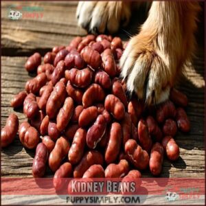 Kidney Beans